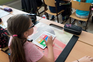 开云入口-中小学体育安全教育实施效果评估研究，中小学体育评估体系