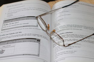开云入口-中小学体育安全教育实施效果评估研究，中小学体育评估体系