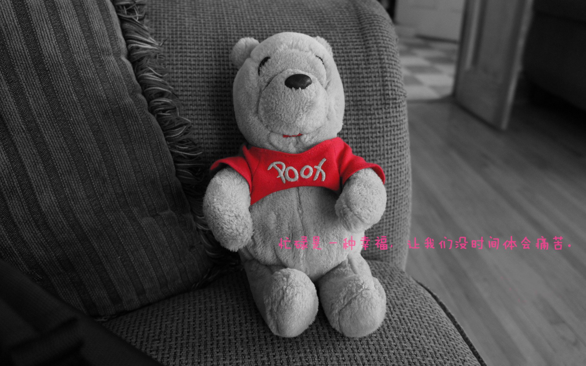 开云网页版-篮球专项技能动作标准化训练体系，篮球专项技能动作标准化训练体系是什么