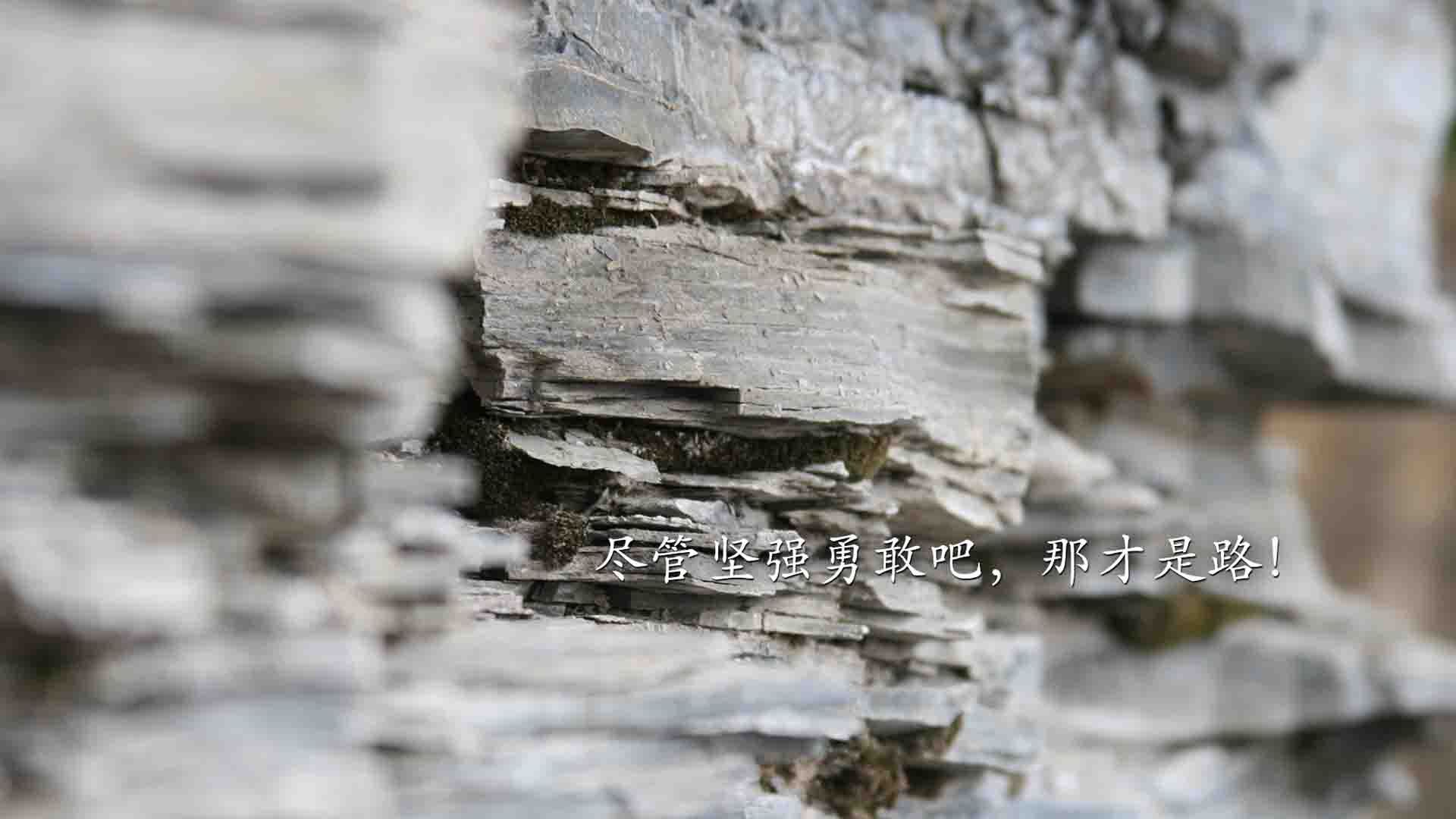 开云网页版-英超球员比赛中营养补给策略实时优化研究,英超球员饮食 第2张 开云网页版-英超球员比赛中营养补给策略实时优化研究,英超球员饮食 第2张