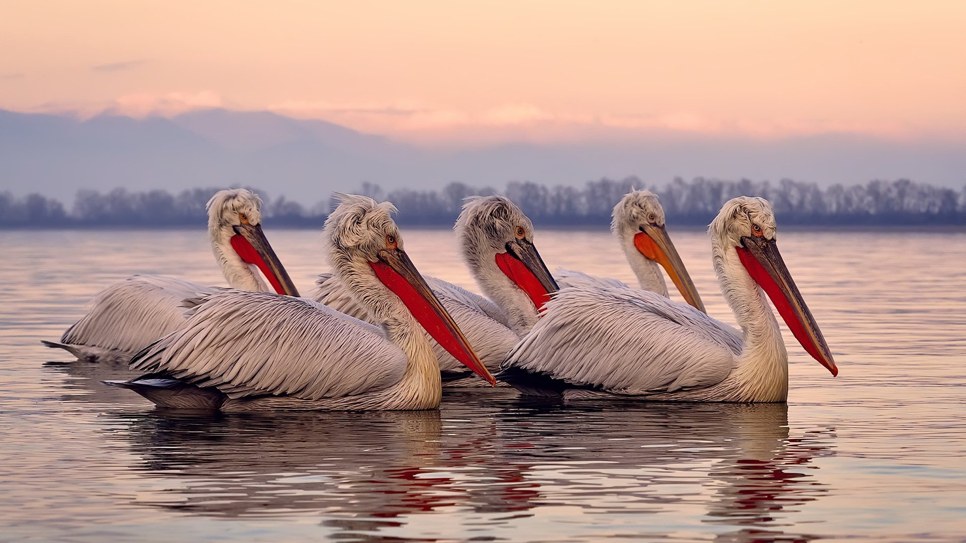 kaiyun体育app-裁判科技革新:未来无人裁判的前景展望,无人机裁判员证 第6张 kaiyun体育app-裁判科技革新:未来无人裁判的前景展望,无人机裁判员证 第6张