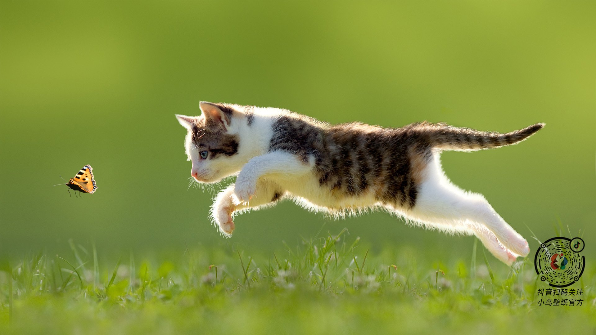 开云入口-青少年运动干预对学业表现的影响研究，青少年的运动锻炼对身体发育的影响