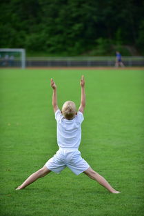 Kaiyun APP-高校运动训练计划动态调整机制研究，运动训练调控