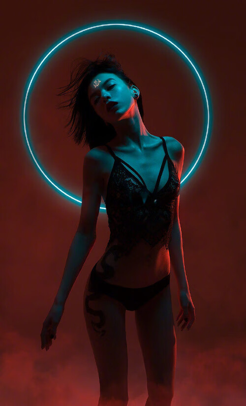 Kaiyun APP-高校运动训练计划动态调整机制研究，运动训练调控