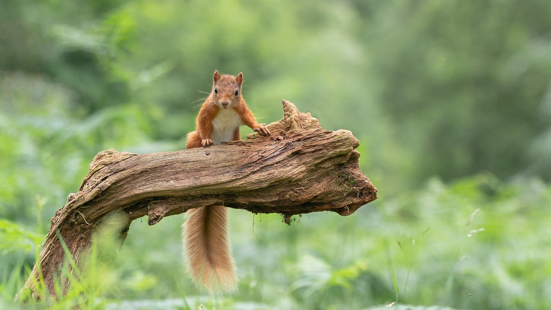开云中国-基层联赛标准化建设亟待加强，基层所标准化建设汇报材料