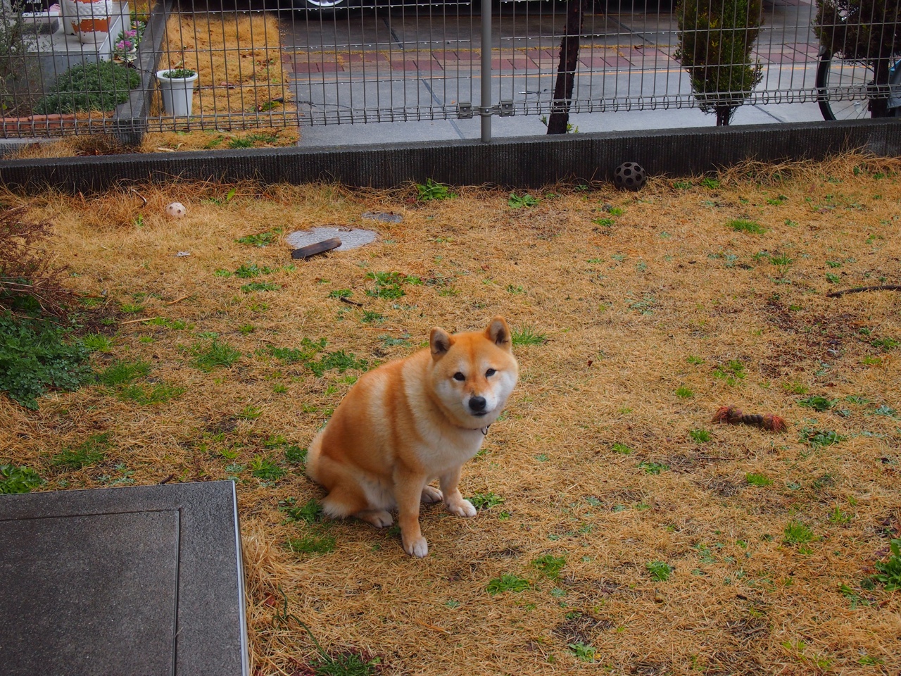 开云网站-教练组表示德国男队仍有巨大提升空间,德国男队主教练叫什么 第1张 开云网站-教练组表示德国男队仍有巨大提升空间,德国男队主教练叫什么 第1张