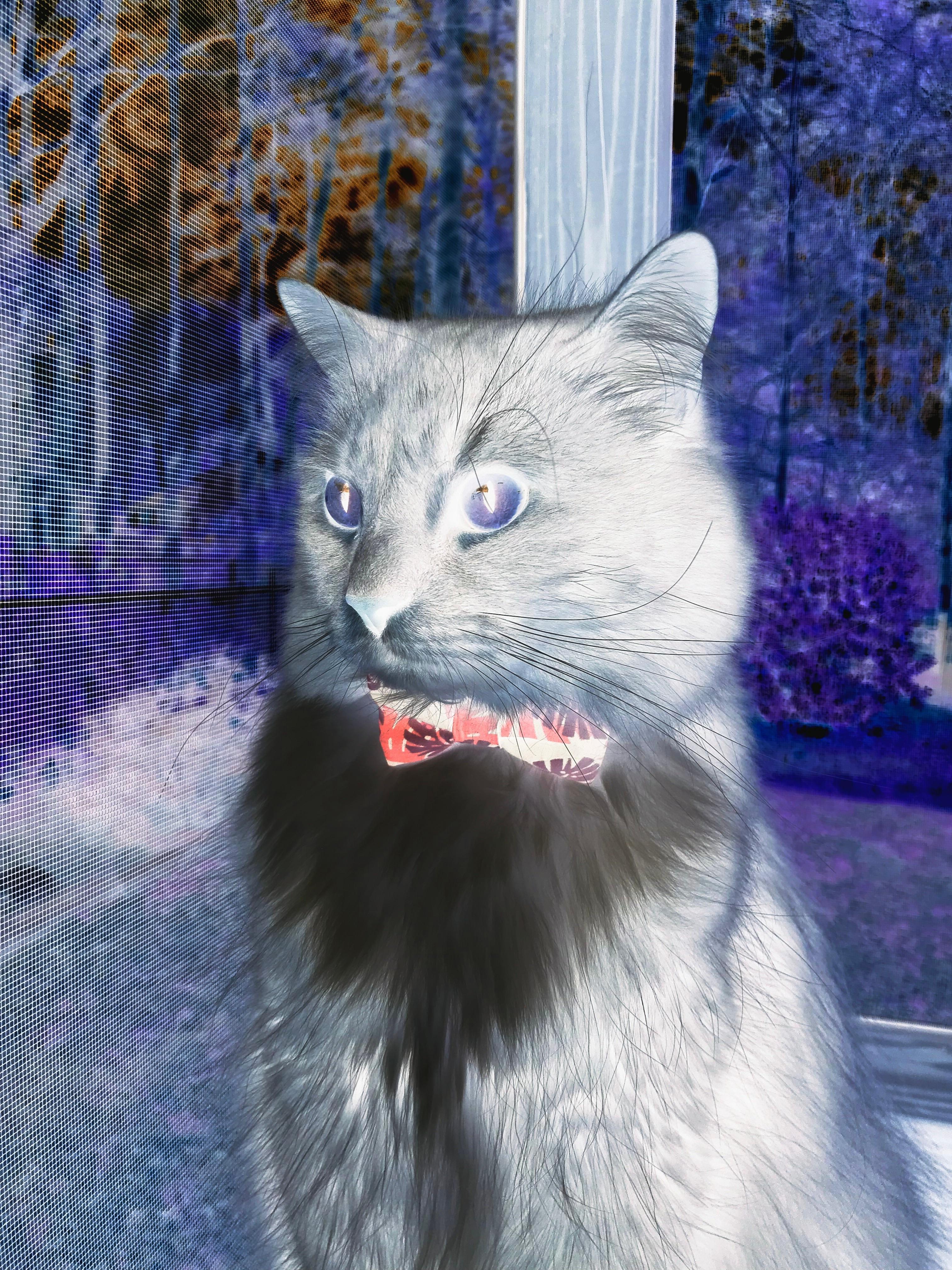 开云·体育官网-波兰队在国际乒联混合团体世界杯中的胜利背后：技术与策略结合