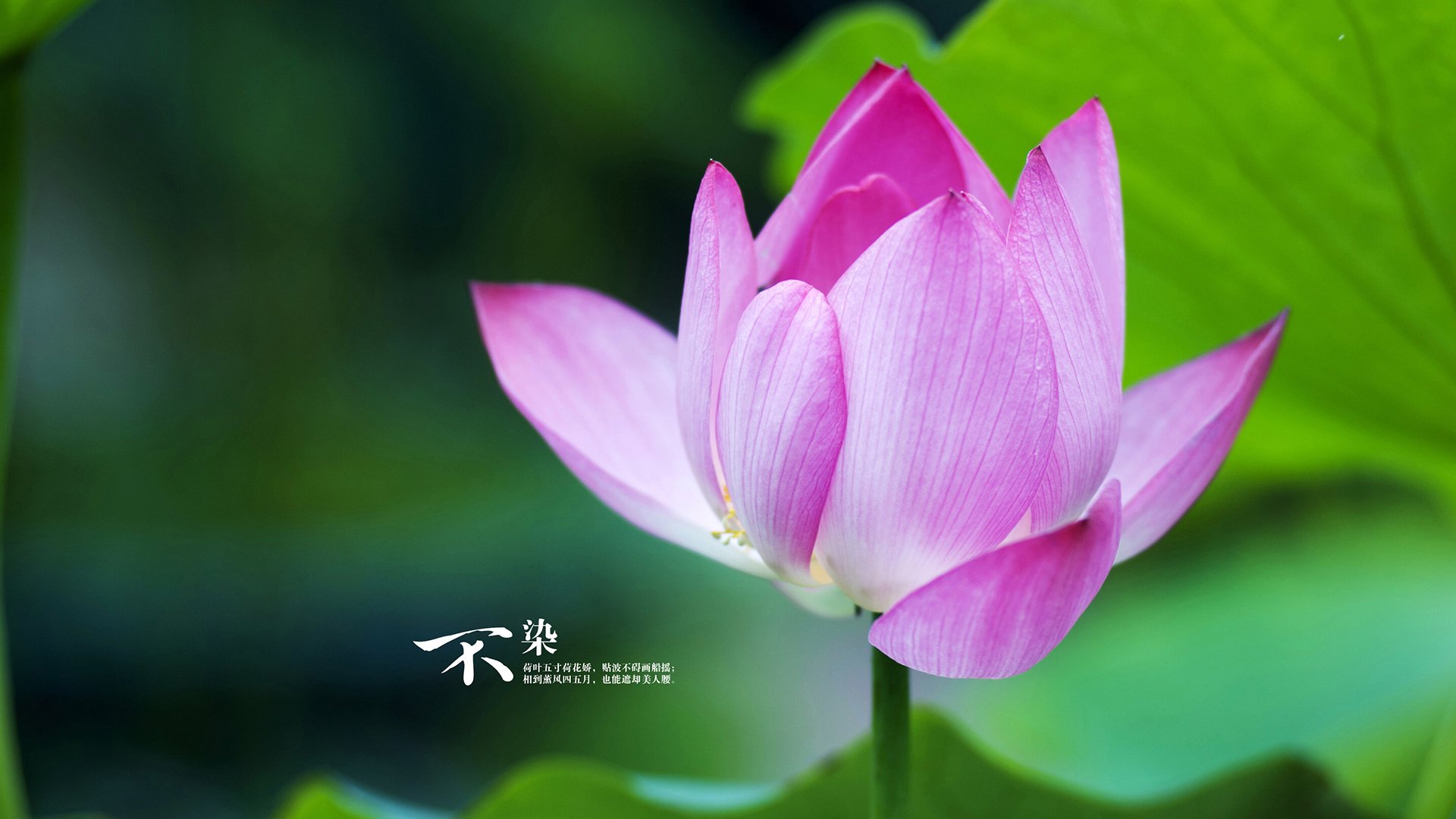 kaiyun开云·官方网站-海湾者防守成败关键，压力显现，海湾打击