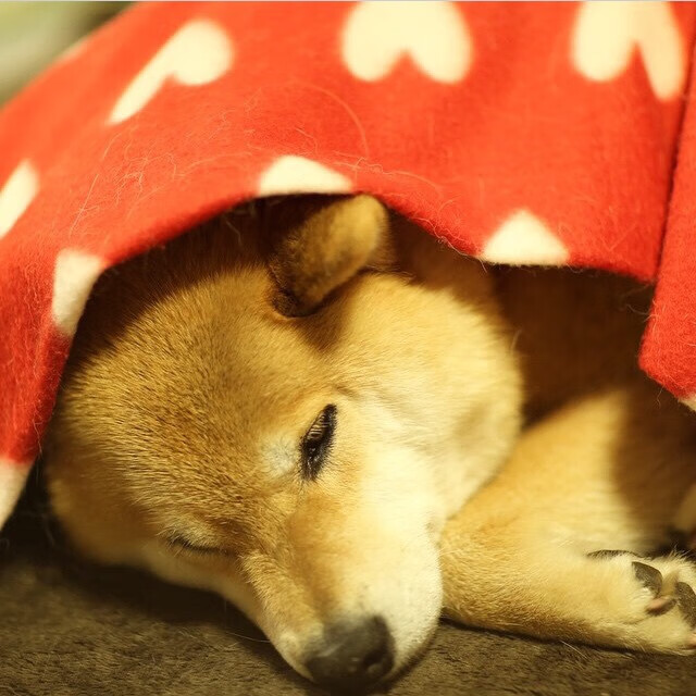 开云·Kaiyun网页版-球队双核之间的攻防协同机制分析，nba双核建队思路