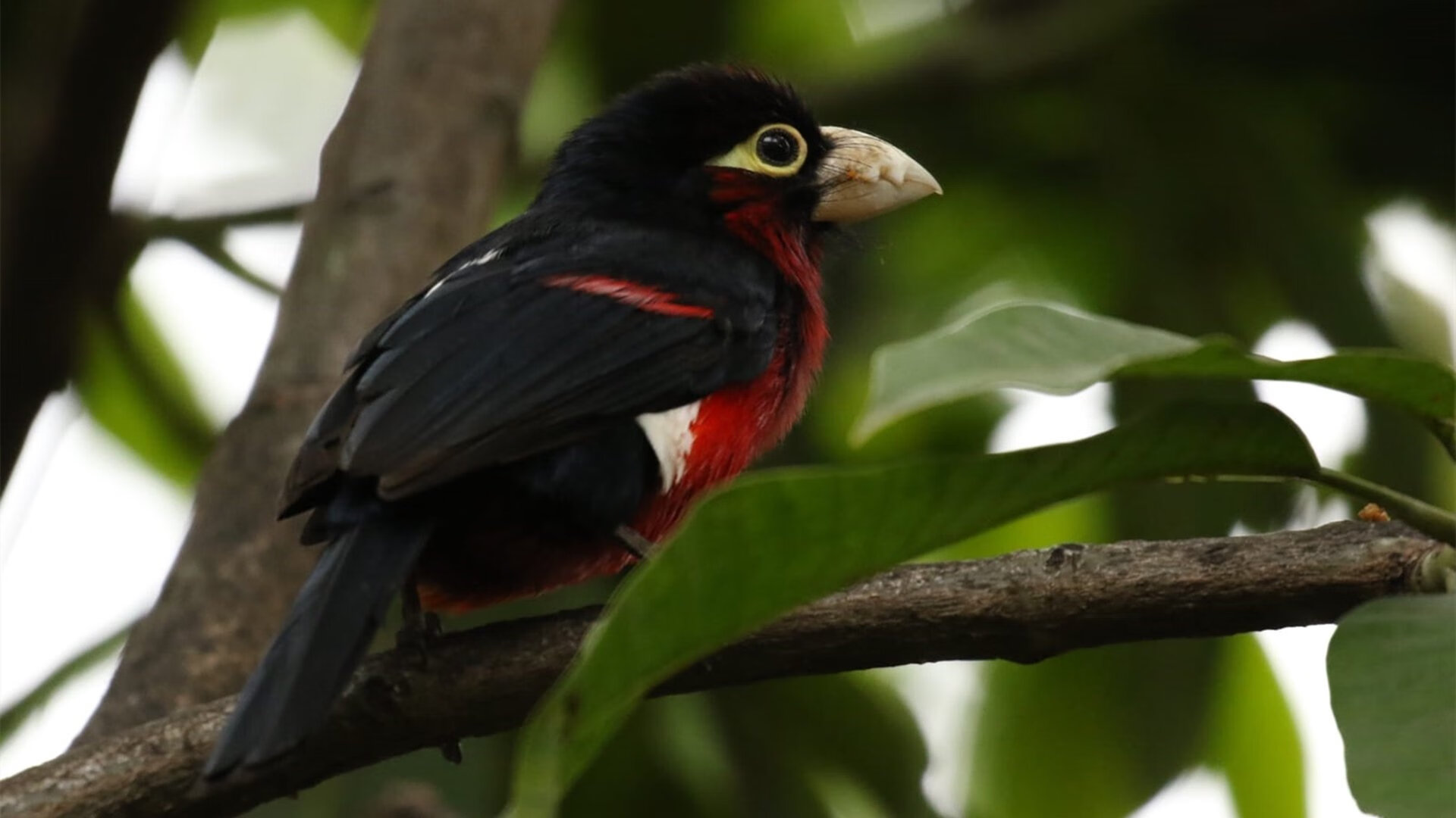 开云官方网站-电竞内容平台竞争激烈优质创作者备受青睐,电竞例子 第3张 开云官方网站-电竞内容平台竞争激烈优质创作者备受青睐,电竞例子 第3张