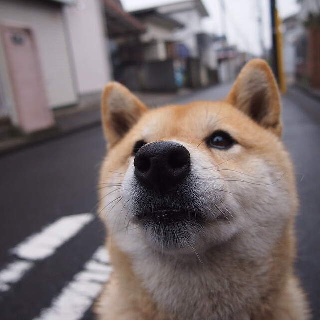 kaiyun.com-足球科研团队缺少联赛一线数据授权