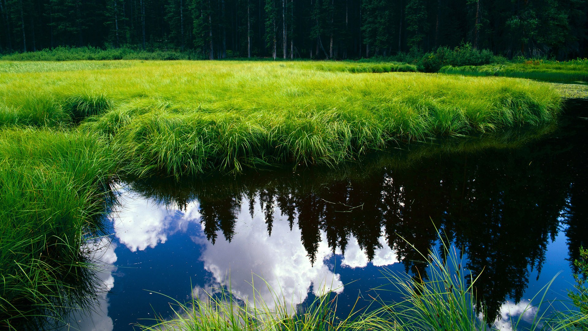 开云中国-都灵边中联动形成连续攻势组合，都灵中锋