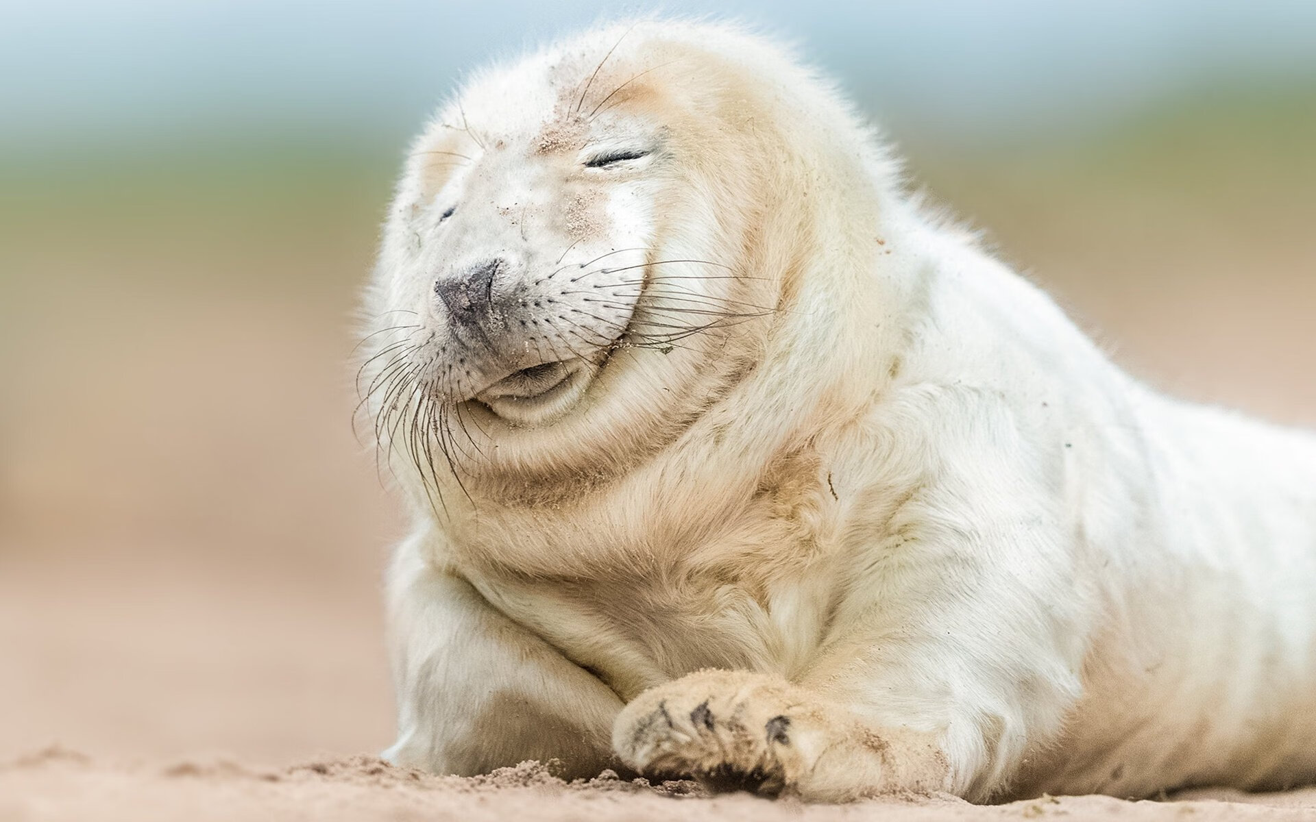 开云体育-中超联赛本周末重燃战火，中超联赛2021揭幕战