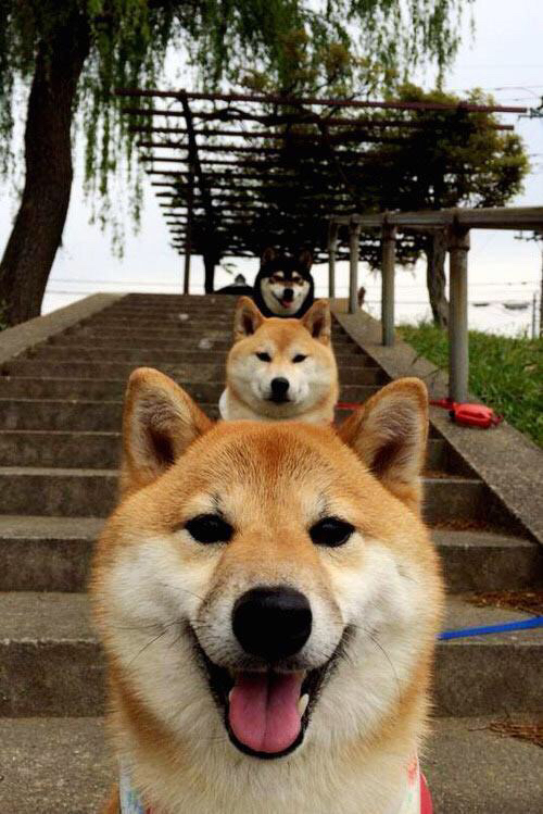 kaiyun中国官方网站-女子篮球联赛新秀表现亮眼,女子篮球wnba