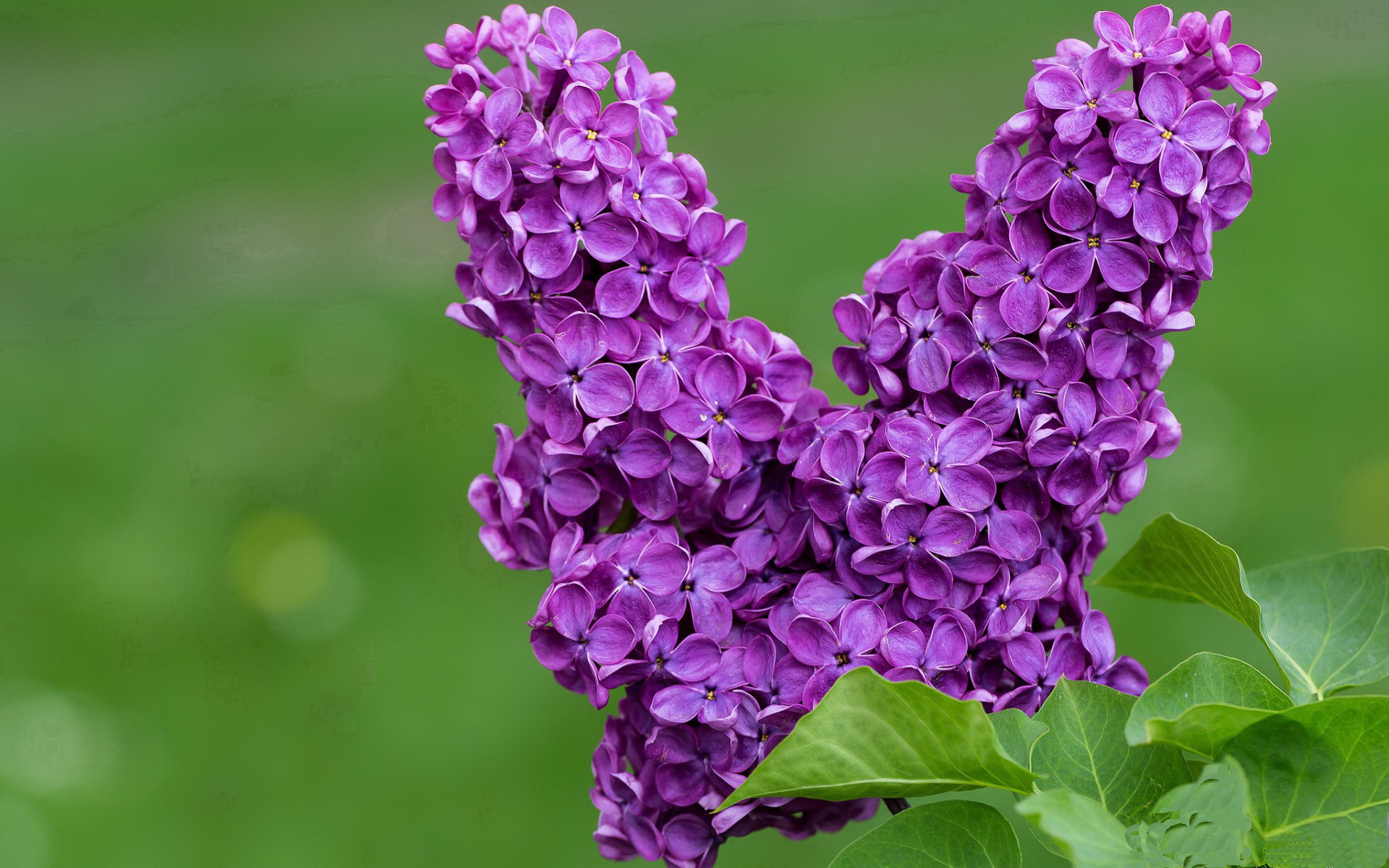 开云中国-阿森纳青训持续突破，未来之星不断涌现  第3张