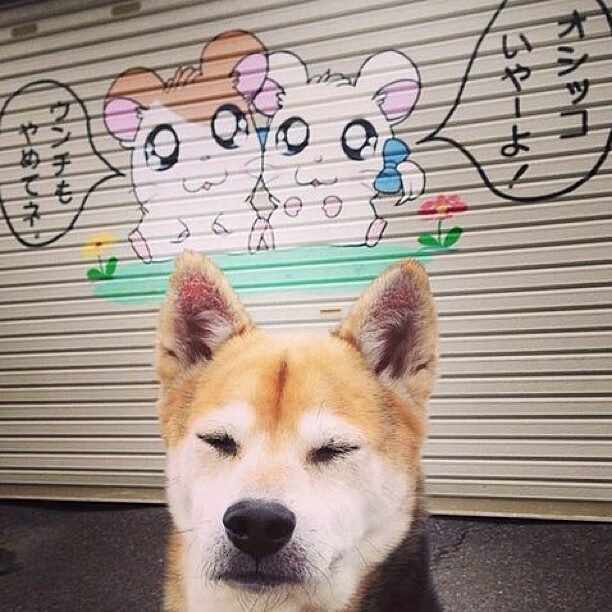 kaiyun体育综合-霍特·巴雷特：他是全黑队反击的加速器，能够在关键时刻点燃全队士气