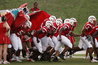 kaiyun体育综合-CBA是否鼓励球队组织青少年篮球体验活动，cba青少年篮球训练营