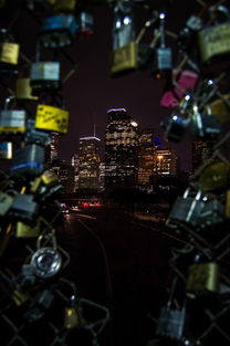 KAIYUNAPP-一场黑熊事件，暴露出哪些城市问题？，黑熊是哪个城市