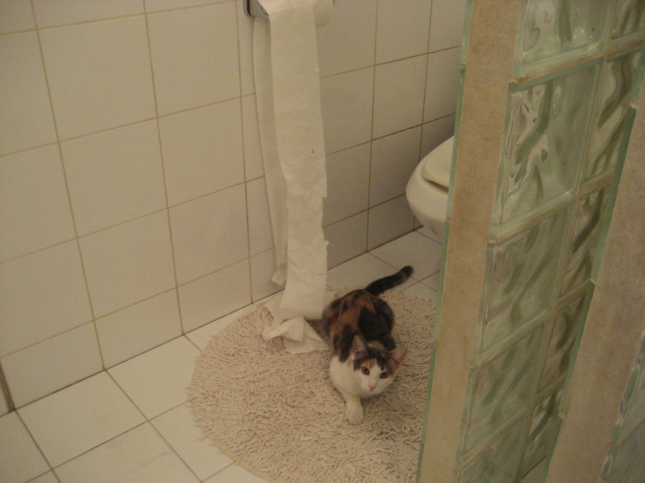 kaiyun登录入口-丝路电商日：在数贸会开启跨境电商合作新空间