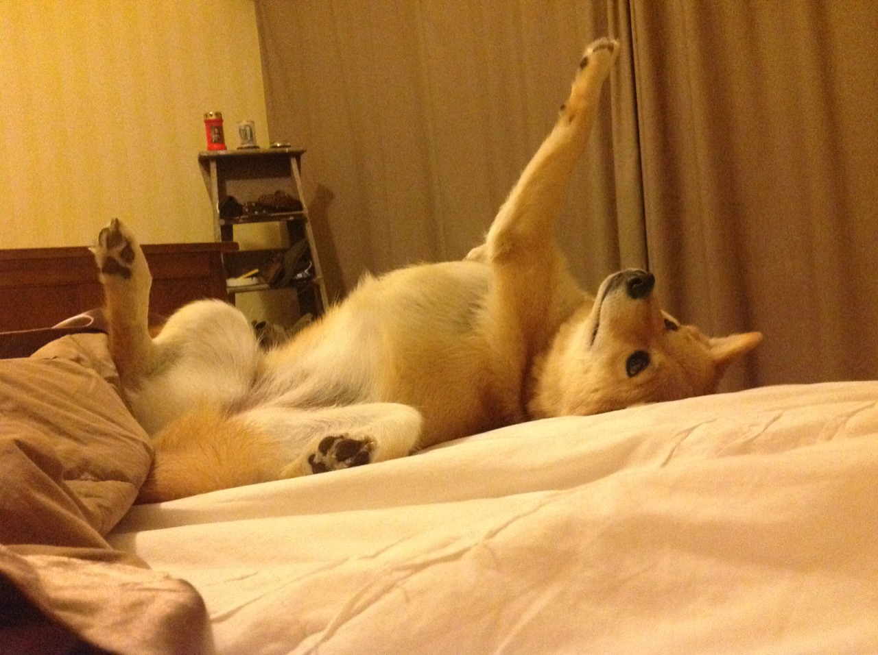 kaiyun开云·官方网站-中国足球主教练换帅对球队战绩及球员心理的影响，中国足球换了多少个教练