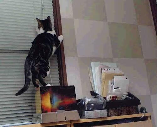 开云中国大陆-中国足球青训教练队伍专业化发展，著名足球青训教练